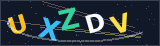 Security Verification Code