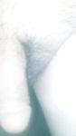 Una vez folle a escondidas - Photo #2