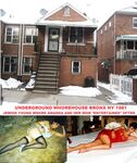 Jewish prostitutes in Bronx NY - Photo #1