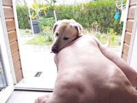 avec mon mâle - Photo #2