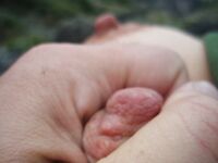 Fun in the mountains - Photo #20