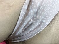 Panty dreams April panty haul - Photo #9