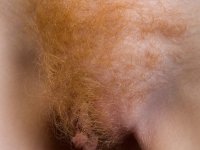 Curly-haired ginger Rochelle A strips naked & showcases her furry snatch - Photo #3