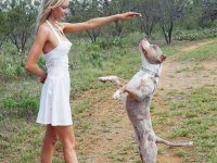 Dirty blonde babe Krystal Harper flaunts her amazing big tits and ass outdoors - Photo #13