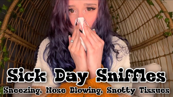 Sick Day Sniffles Sneezing and Nose Blowing