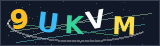 Security Verification Code